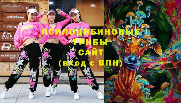 индика Белоозёрский