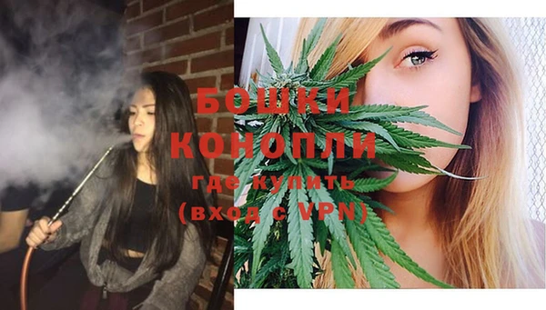 бошки Богданович