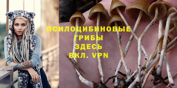 альфа пвп Богородицк