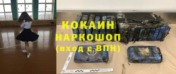 индика Белоозёрский