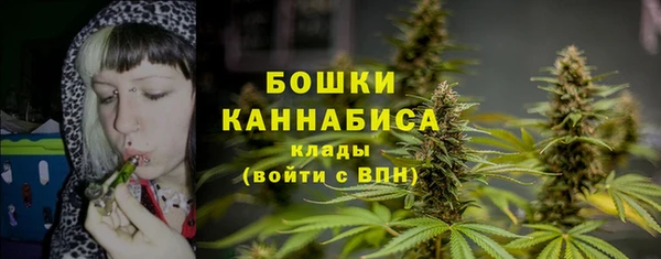 2c-b Богородск