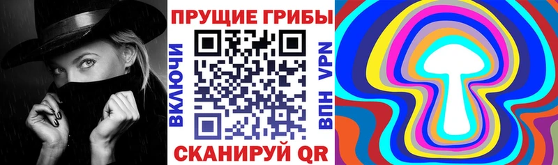 Псилоцибиновые грибы Cubensis  цена наркотик  кракен   Реж 