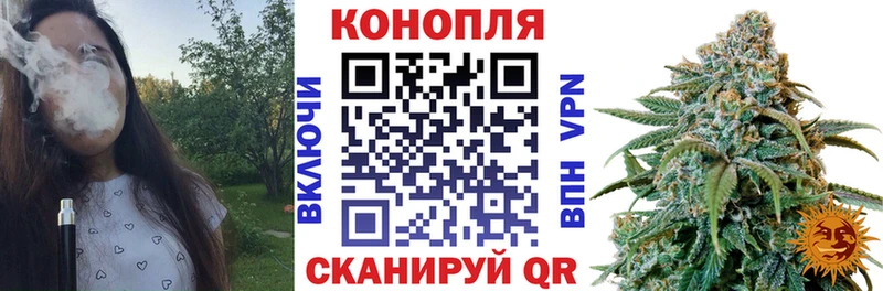 цены наркотик  Реж  kraken рабочий сайт  Бошки Шишки OG Kush 